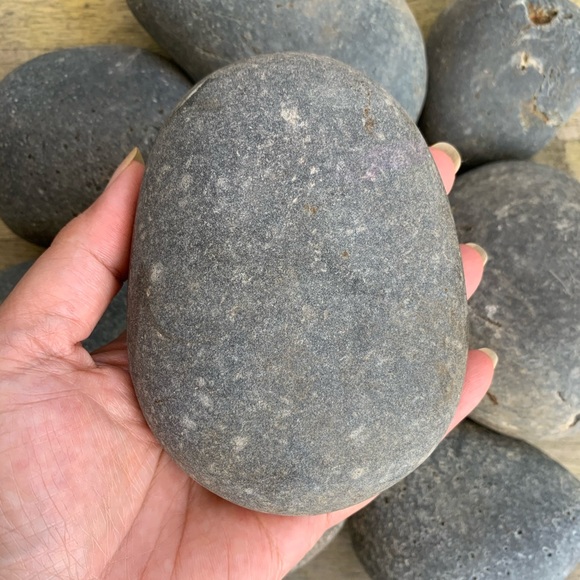 Painted Rock Flowers - Picture 7 of 7